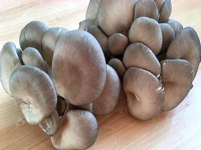 蘑菇（250克）