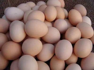 鸡蛋（1000克）